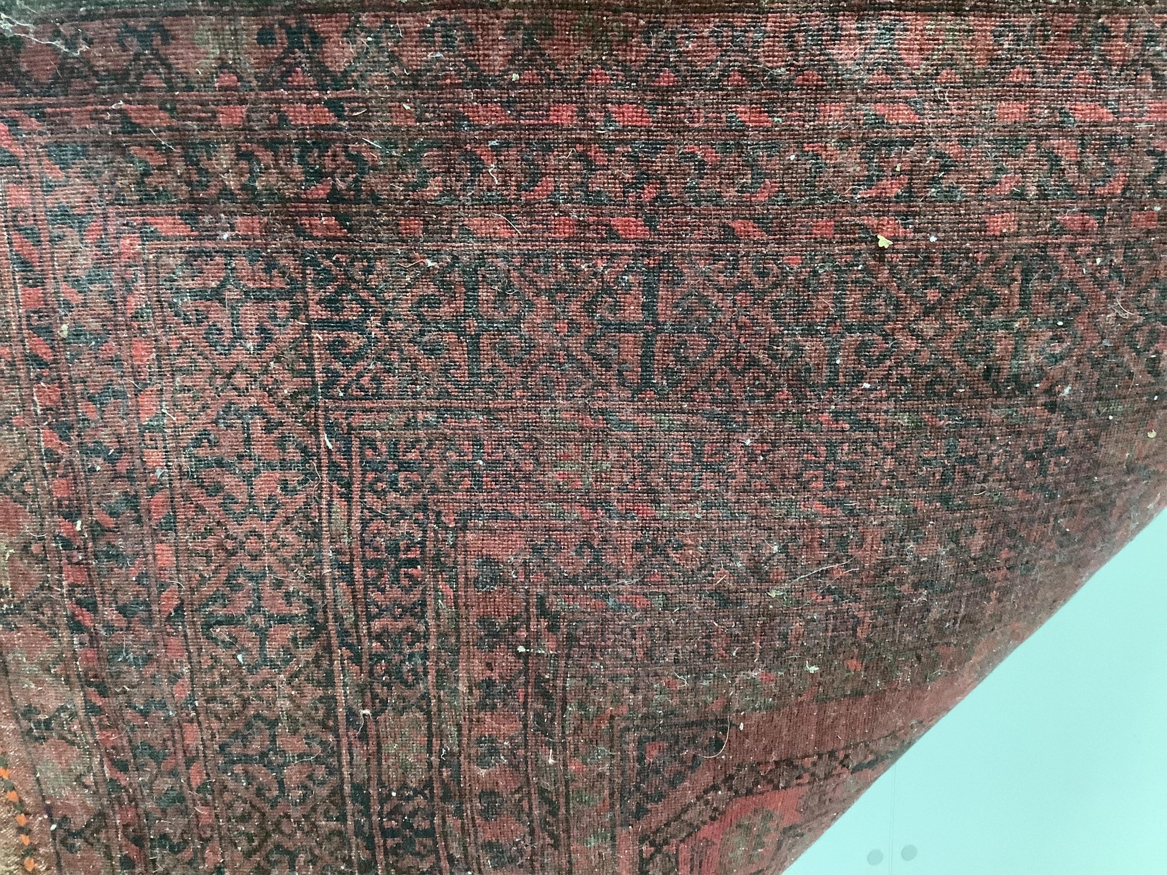 A Belouch red ground rug and a Bokhara rug, larger 180 x 106cm. Condition - fair